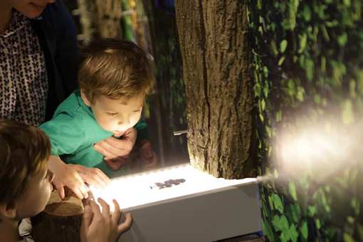 The 10 Best Educational Activities for Children in New Jersey!