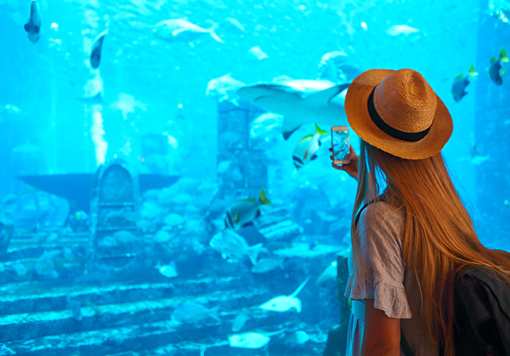 10 Best Rainy Day Activities in New Jersey!